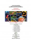 Trabajo de cálculos para la ingeieria