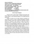 Informe Integral Pedagógico