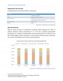 Análisis de la demanda Segmentación del mercado