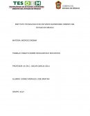INSTITUTO TECNOLOGICO DE ESTUDIOS SUPERIORES ORIENTE DEL ESTADO DE MEXICO MATERIA: MICROECONOMIA