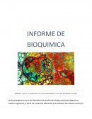Indique cual es la importancia de la gluconeogénesis a nivel del organismo humano