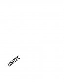 ¿Cuál es la hipótesis y el objetivo de este ensayo?