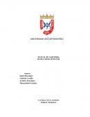 MANUAL DE AUDITORIA DE RECURSOS HUMANOS