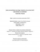 CUADERNILLO DE PRACTICAS PROFESIONALES LOGISTICA