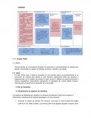 Princess Shoes Análisis FODA