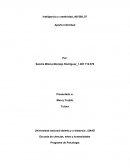 Inteligencia y creatividad_401509_97 Aporte individual