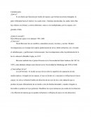 Caleidoscopio - Actividad