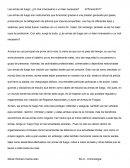 Armas ¿un mal necesario?