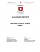 Practica de laboratorio de histologia