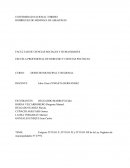 Exégesis TITULO X ,TITULO XI y TITULO XII de la Ley Orgánica de municipalidades Nº 27972