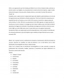 Consultoria Onstreet