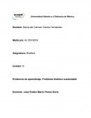 Un nuevo Problema bioético sustentable