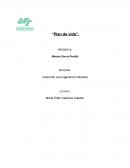 Ejemplo de un plan de vida FODA