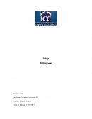 Trabajo Bibliotecario Documento I