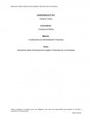 Cuales son las Decisiones sobre la Estructura de Capital o Financiera de una Empresa