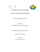 Realizar una conexión de un motor hidráulico con una válvula direccional.