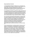 Ensayo de Responsabilidad Ambiental