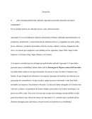 ¿Qué estrategia podría haber aplicado Agrosuper para haber generado una mayor rentabilidad?