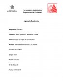 Tema de El ingles de la manzana