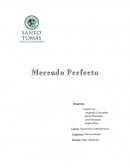 LA GRAN ADMINISTRACION COMPETENCIA PERFECTA