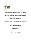 Ensayo de La nueva cara de México 5 emprendedores