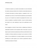 Libertad expresión resumen de ensayo