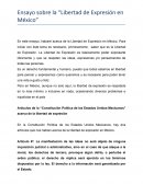 El Ensayo sobre la “Libertad de Expresión en México