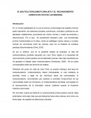 EL MULTICULTURALISMO PLURALISTA Y EL RECONOCIMIENTO JURIDICO-POLITICO DE LAS MINORIAS