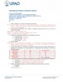 LOGISTICA DEL COMERCIO INTERNACIONAL PRACTICA CALIFICADA