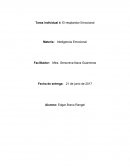 El Ensayo sobre el resplandor empcional