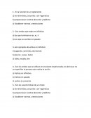 Resumen de Temario de español