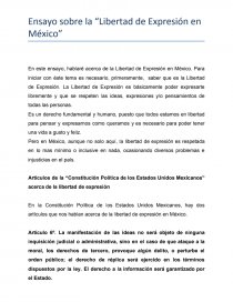 Lejos Puntuación Alegrarse ensayo sobre la libertad de expresion