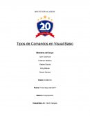 Tipos de Comandos en Visual Basic