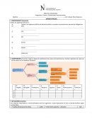 Trabajo Tributo: son ingresos públicos de derecho publico q consiten en prestaciones pecunarias obligatorias