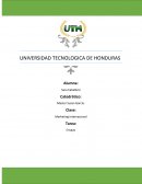 Marketing Internacional ensayo