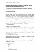 UN NUEVO AVANCE DE INFORME; CORTINAJES ANDRU