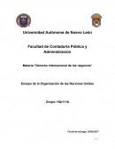 La gran Organización de las naciones unidas