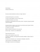 CASO STANDAR BURGUER