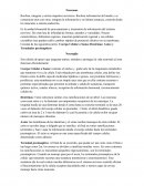 Cuales son células de apoyo que aseguran nutren, atienden y protegen la vida neuronal así esta funcione eficientemente