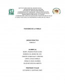 RESEÑA - FUNCIONES DE LA FAMILIA