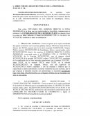 LA GRAN CONSOLIDACION DE DOMNIO