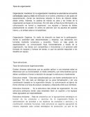 Que y cuales son los Tipos de organización: