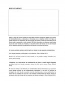 MÚSCULO CARDIACO -RESUMEN