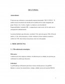 DICA’S PIZZA Antecedentes