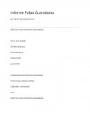 Informe Pulpa Guanabana