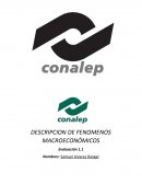 DESCRIPCION DE FENOMENOS MACROECONÓMICOS