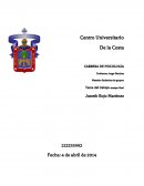 En este ensayo plasmo la idea de concretar cómo es que los distintos grupos influyen