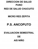 EVALUACION I SEMESTRE DE AIS-NIÑO 2015 Y 2016 P.S. ANCOPUTO
