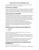 Organizacion diversificada