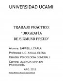 Trabajo Práctico: Biografía Sigmund Freud